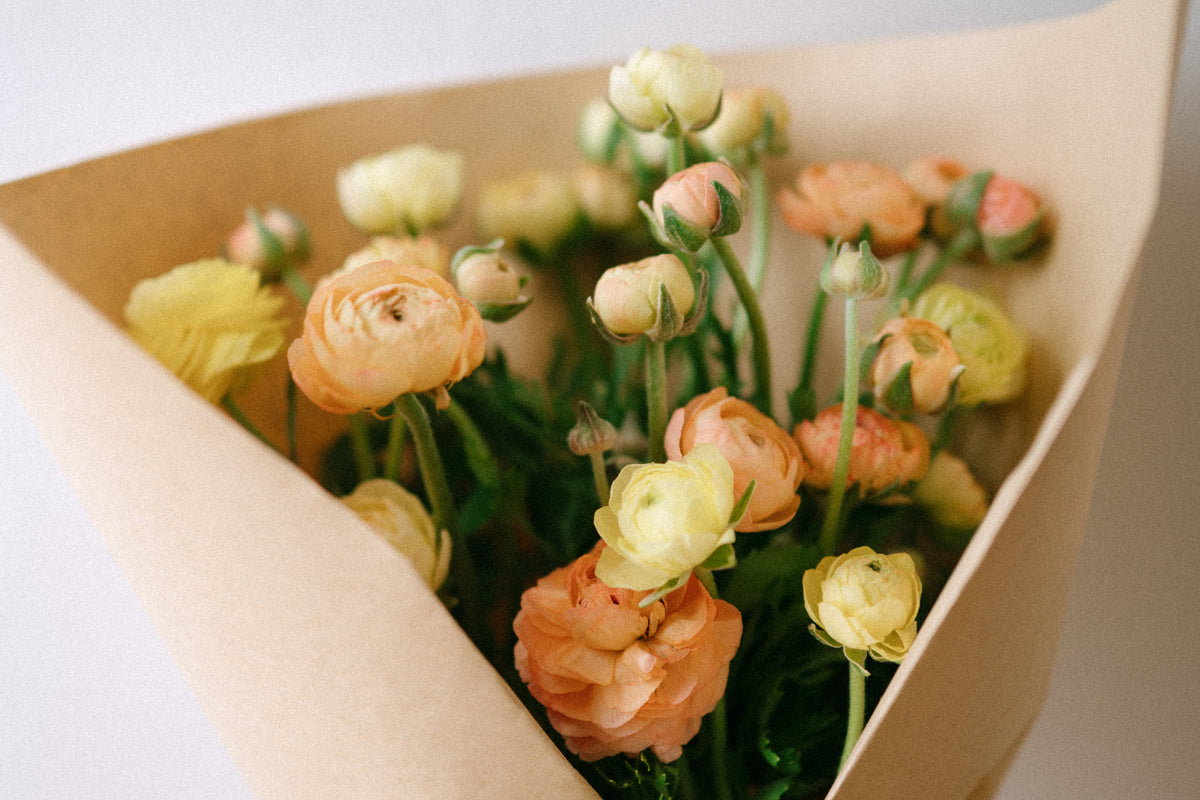 Ranunculus Bouquet